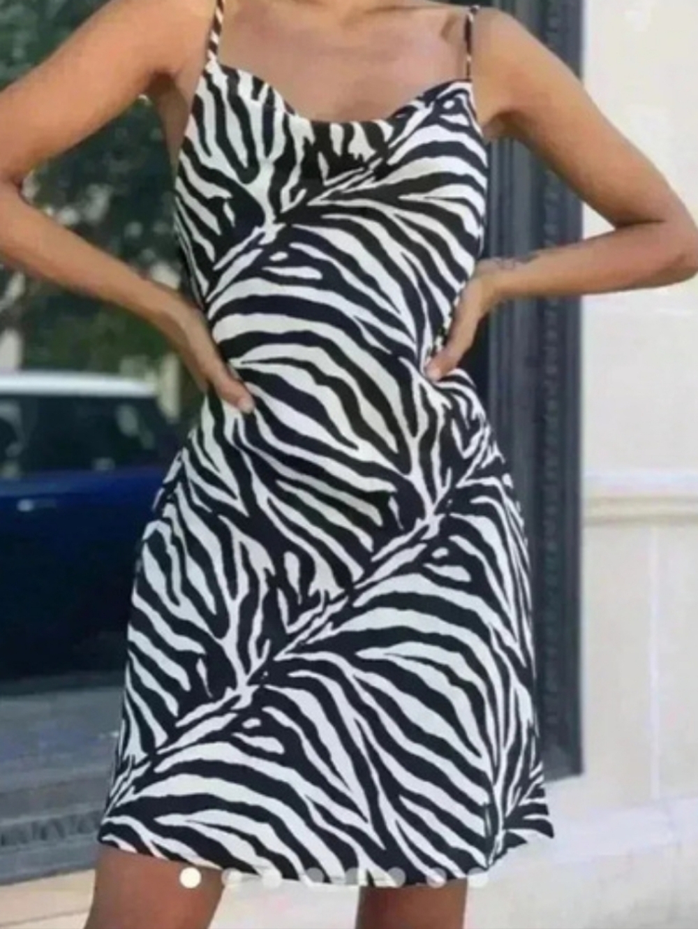 Love Tree Zebra Print Mini Dress Small